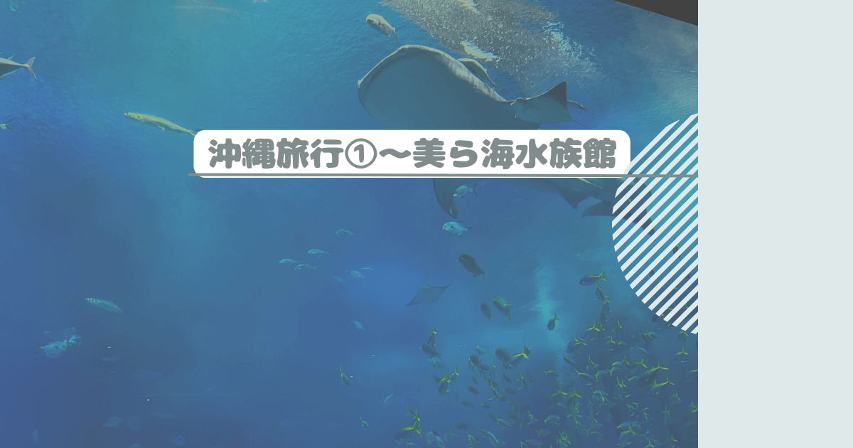 沖縄旅行①～美ら海水族館